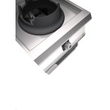 PLINSKI WOK