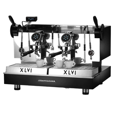 STEAMHAMMER ELETTRONICA 2 GRUPE